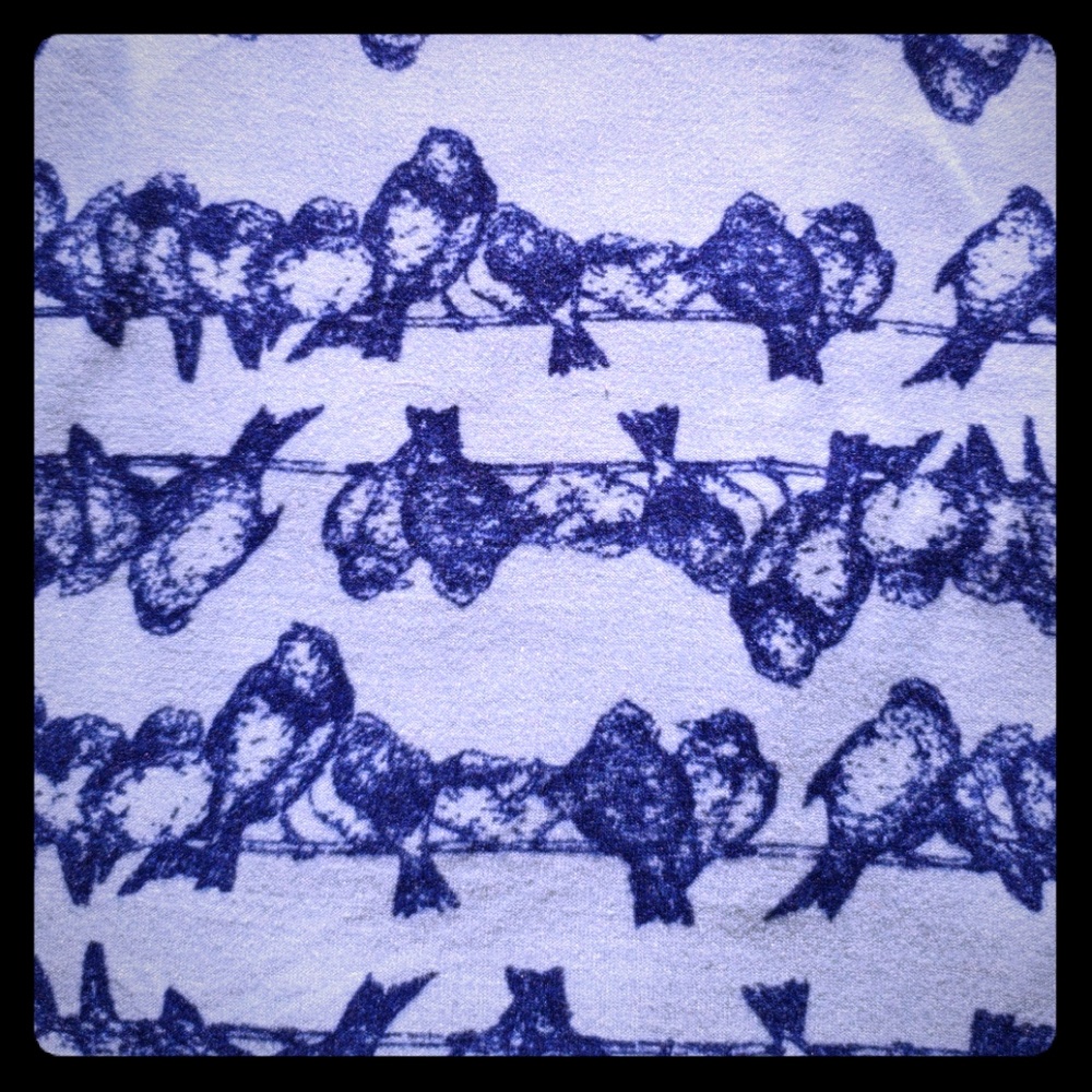 LULAROE TC LEGGINGS, BIRDIES ON WIRES!
